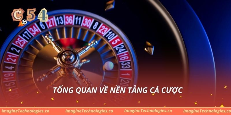 Tổng quan về nền tảng cá cược